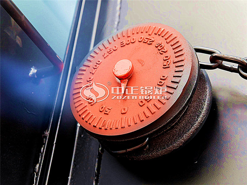 恩施6吨导热油锅炉品牌