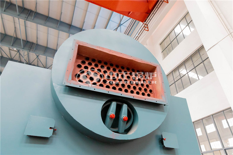 广西生物质锅炉规格