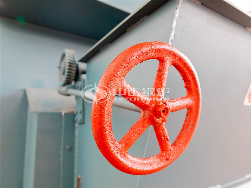 贵州生物质锅炉公司