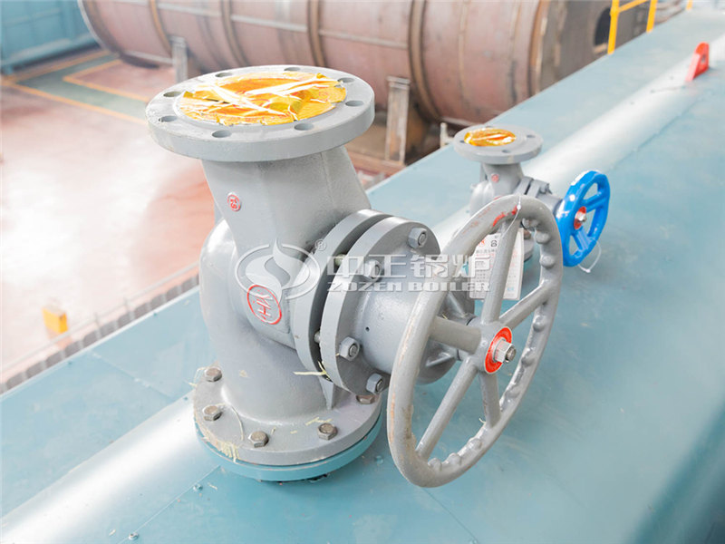 生物质环保锅炉