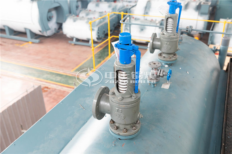 延安燃煤锅炉燃气食品行业