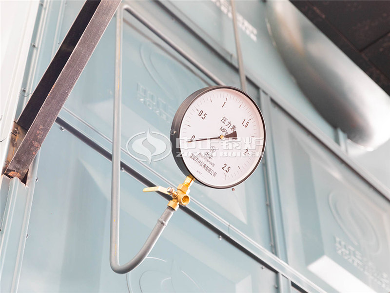 盘锦生物质锅炉规格