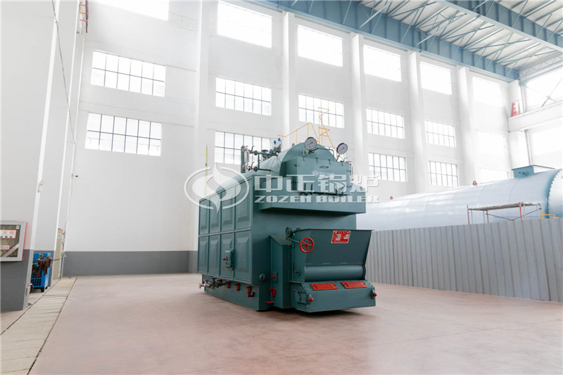 辽宁8T节能燃煤锅炉