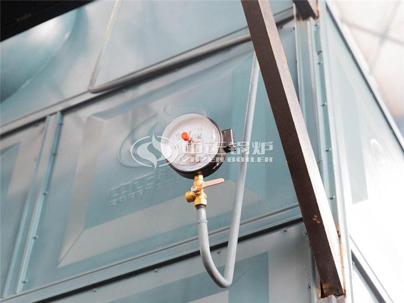 鍋爐廠家7.0MW秸稈顆粒鍋爐