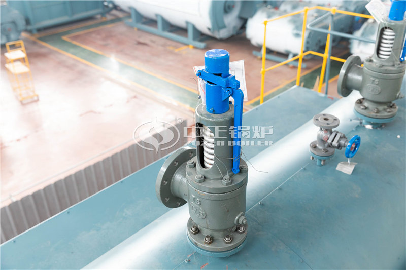 鍋爐廠家SHL25-1.60-AⅠ生物質(zhì)工業(yè)鍋爐