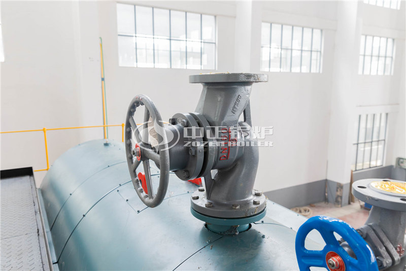 江苏60吨燃气锅炉改造生物质锅炉哪家好