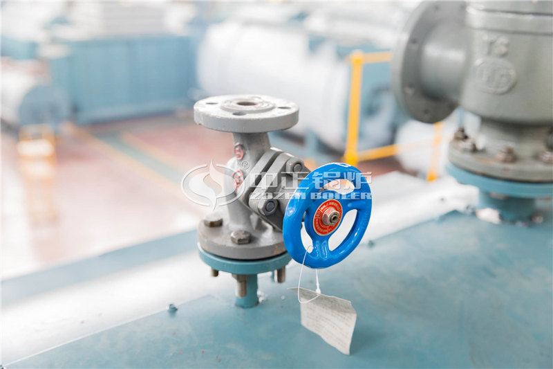 哈尔滨35t/h生物质燃料锅炉改造