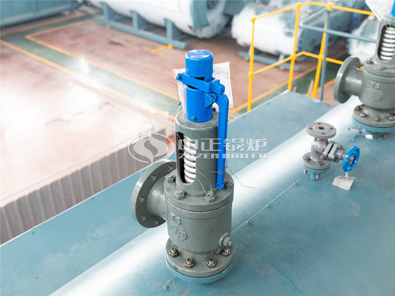 云南十五吨燃煤锅炉节能技术