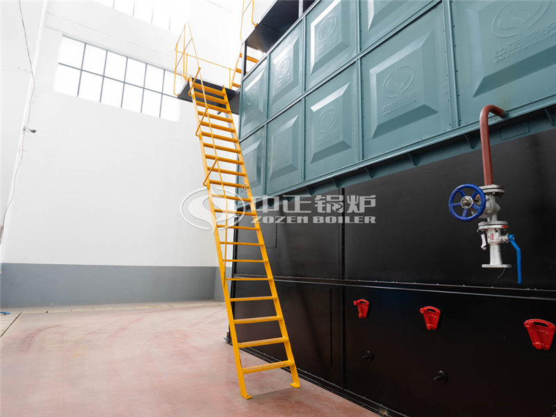 北京30t/h燃煤锅炉改造生物质锅炉排放低吗