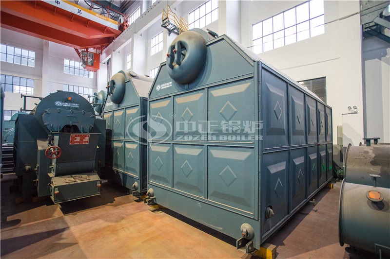 哈尔滨65t/h燃煤锅炉改造生物质锅炉公司