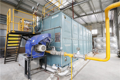 榆林二十五吨沼气锅炉 中正WNS系列燃气锅炉安全高效