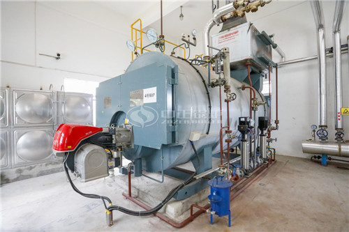惠州25T沼气锅炉 中正低氮锅炉环境友好排放达标