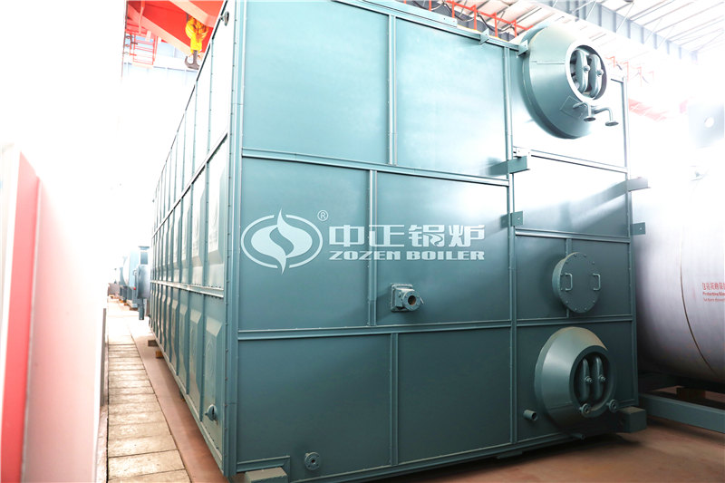 北京30吨沼气锅炉