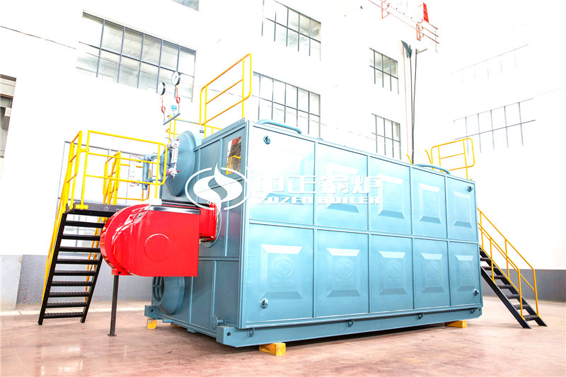 西安6T沼气锅炉 助力客户提高生产效率